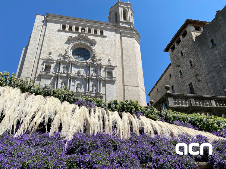 Girona’s Cathedral stairs covered with plants and flowers on May 11, 2022 (by Gerard Escaich Folch)